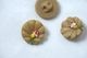 �����������Τ����İ������饹�ܥ���W1.7cm gbu-077