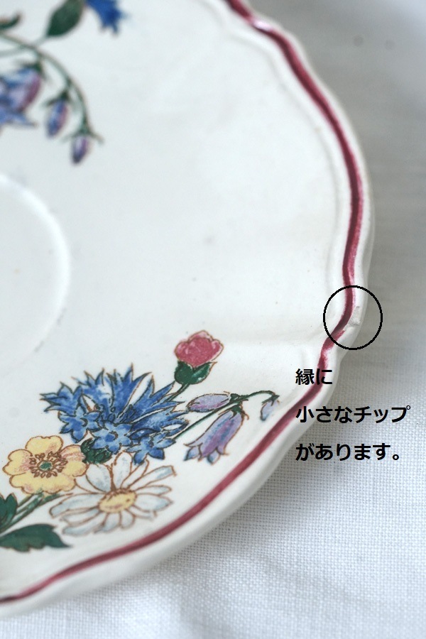 SARREGUEMINES���륰�ߥ�̤�Agreste C&S gc-1423