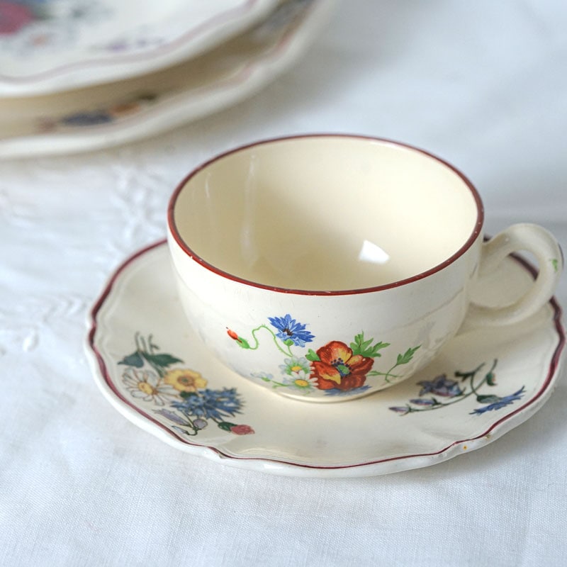 SARREGUEMINES���륰�ߥ�̤�Agreste C&S gc-1423