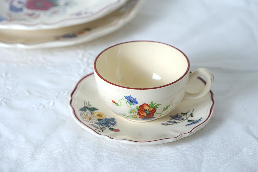 SARREGUEMINES���륰�ߥ�̤�Agreste C&S gc-1423