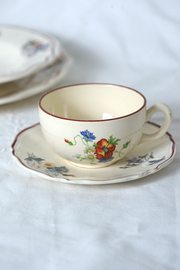 SARREGUEMINES���륰�ߥ�̤�Agreste C&S gc-1423