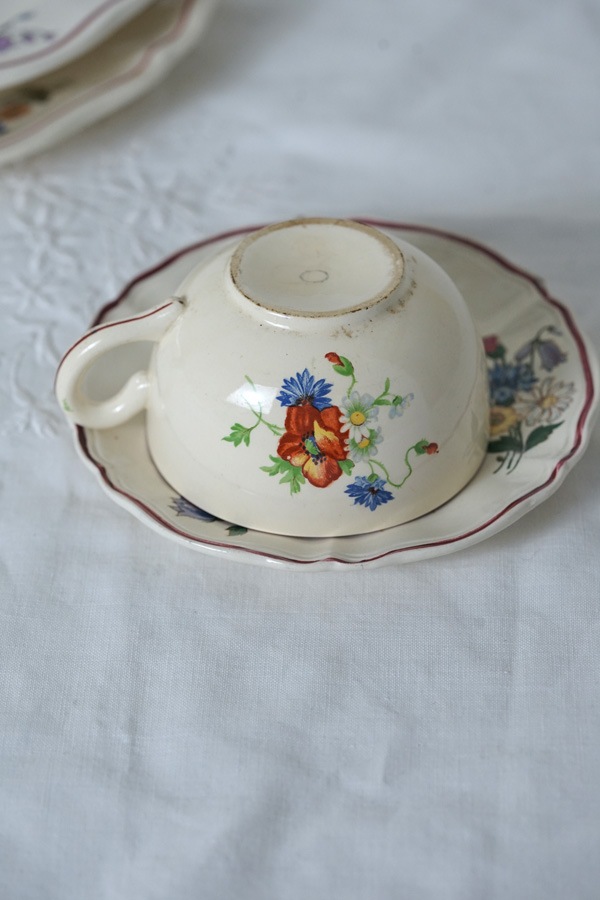 SARREGUEMINES���륰�ߥ�̤�Agreste C&S gc-1423