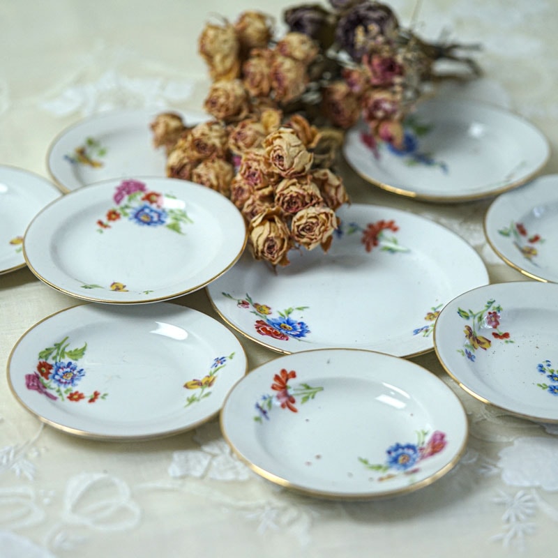 �ե�󥹥ϥ�ɥڥ���Ȥ��֤Υǥ��ͥåȡ��ץ졼��9�����å� gc-1683