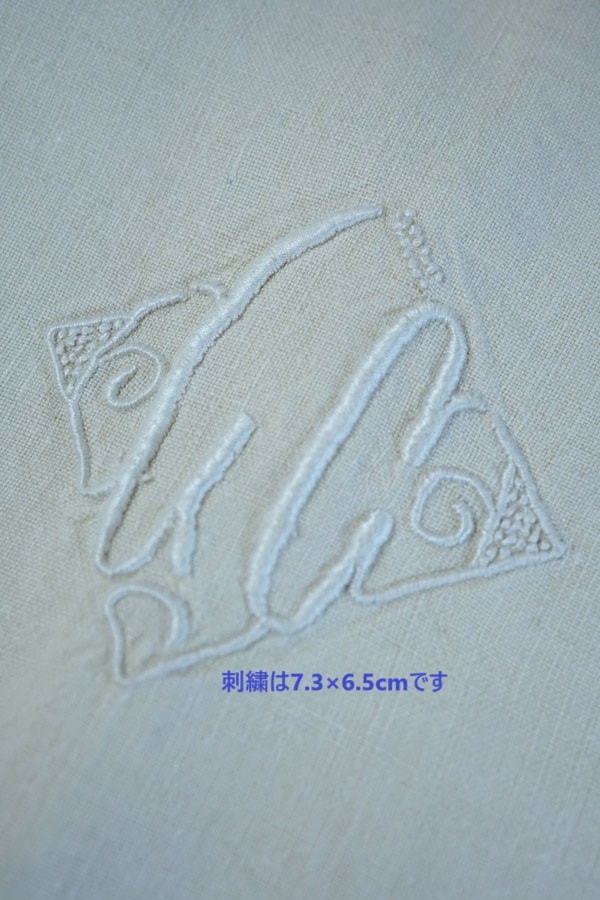 ����ƥ������ե�����ͥ󥷡���GC����ե��٥åȥ�Υ��������W195��L260cm gli-0358