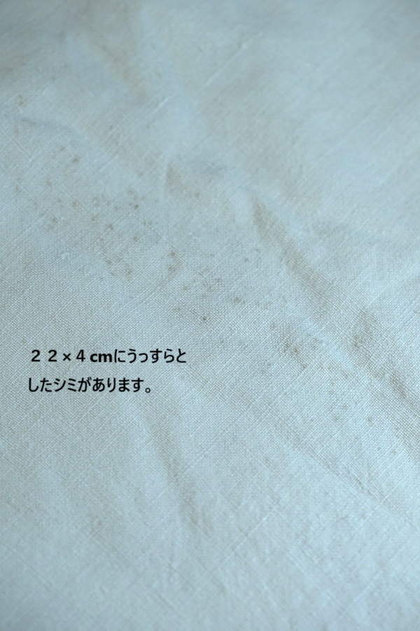 ����ƥ������ե�����ͥ󥷡���GC����ե��٥åȥ�Υ��������W195��L260cm gli-0358