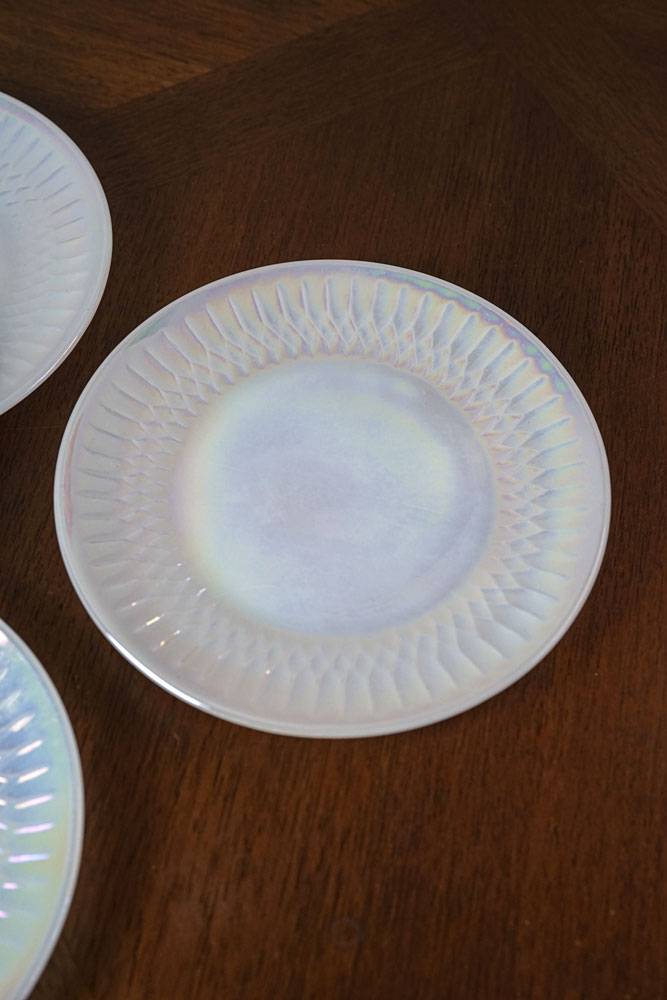 ����ꥫ������ơ��� �ե��ǥ��� �������� �������� 19cm 5�祻�å� ����ե�󥷥������ա�gc-1945