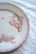 �ե�󥹥���ƥ����� �ڥ������ Ļ PEXONNE Oiseaux�Υץ졼��22.5cm gc-1364
