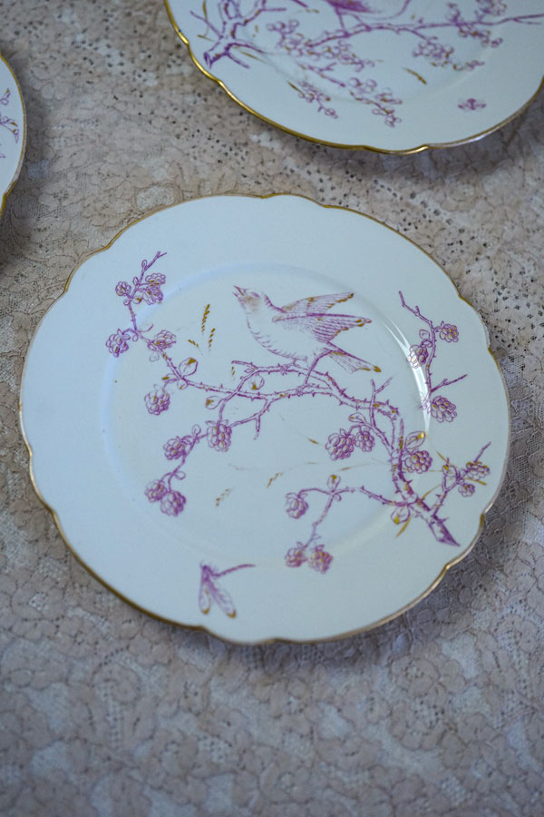 ƥ⡼微ĻȤ֤ʿW21cm gc-1626