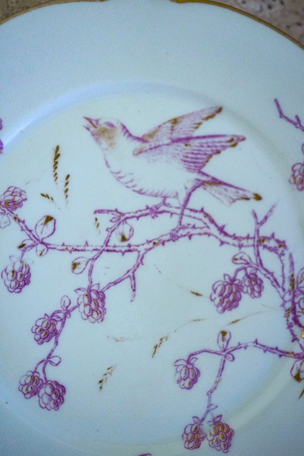 ƥ⡼微ĻȤ֤ʿW21cm gc-1626