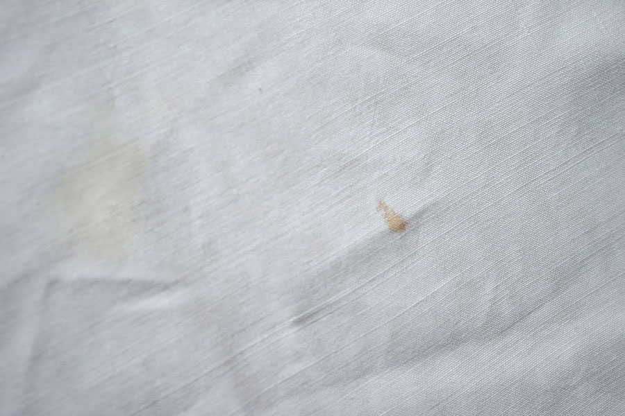 �ե�󥹥���ƥ��������åȥ���ɽ��ȥ�Υ����HG�����ͥ󥷡���W210��L296cm gli-0385