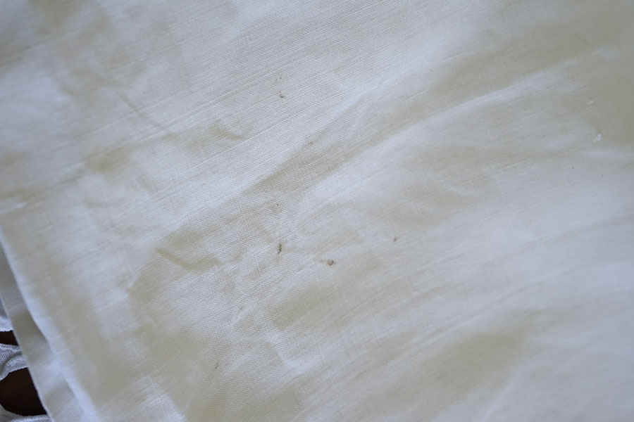 �ե�󥹥���ƥ��������åȥ���ɽ��ȥ�Υ����HG�����ͥ󥷡���W210��L296cm gli-0385