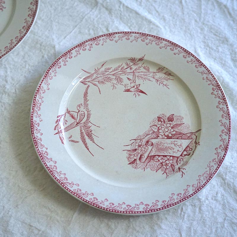 ե󥹥ƥ ڥ Ļ PEXONNE OiseauxΥץ졼22.5cm gc-1365