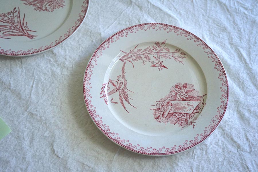 ե󥹥ƥ ڥ Ļ PEXONNE OiseauxΥץ졼22.5cm gc-1365