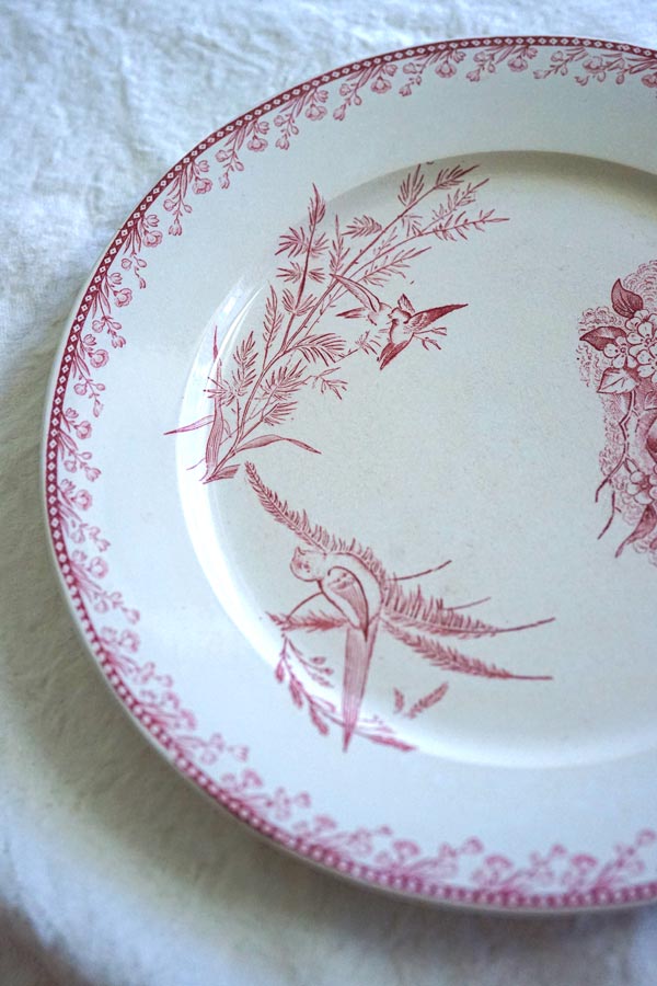 ե󥹥ƥ ڥ Ļ PEXONNE OiseauxΥץ졼22.5cm gc-1365