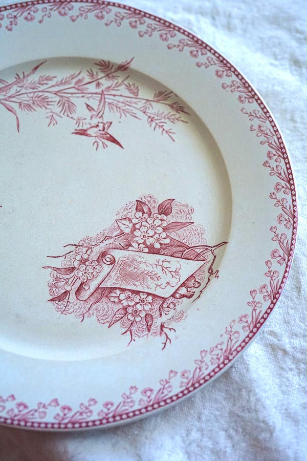 ե󥹥ƥ ڥ Ļ PEXONNE OiseauxΥץ졼22.5cm gc-1365