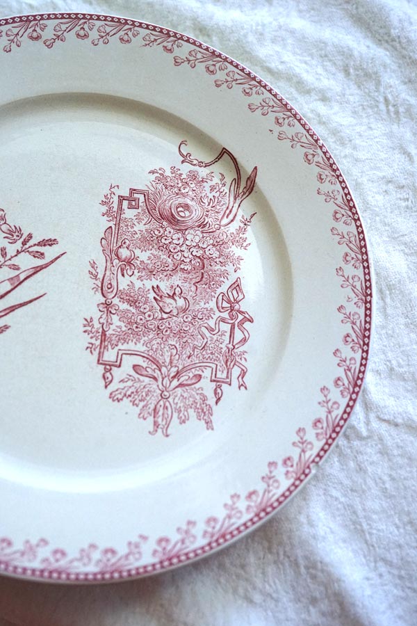 ե󥹥ƥ ڥ Ļ PEXONNE OiseauxΥץ졼22.5cm gc-1366