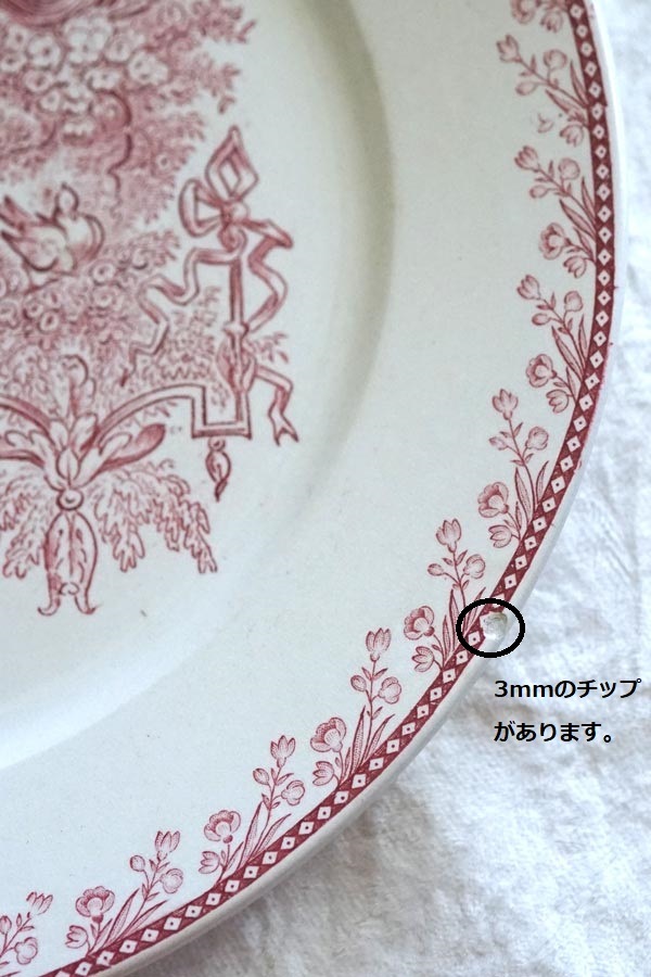 ե󥹥ƥ ڥ Ļ PEXONNE OiseauxΥץ졼22.5cm gc-1366