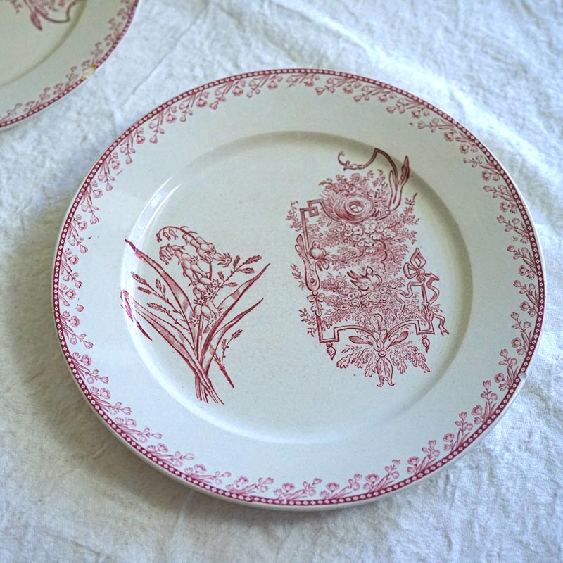 ե󥹥ƥ ڥ Ļ PEXONNE OiseauxΥץ졼22.5cm gc-1366