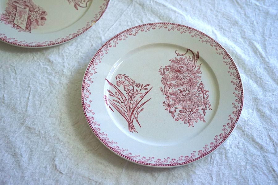 ե󥹥ƥ ڥ Ļ PEXONNE OiseauxΥץ졼22.5cm gc-1366