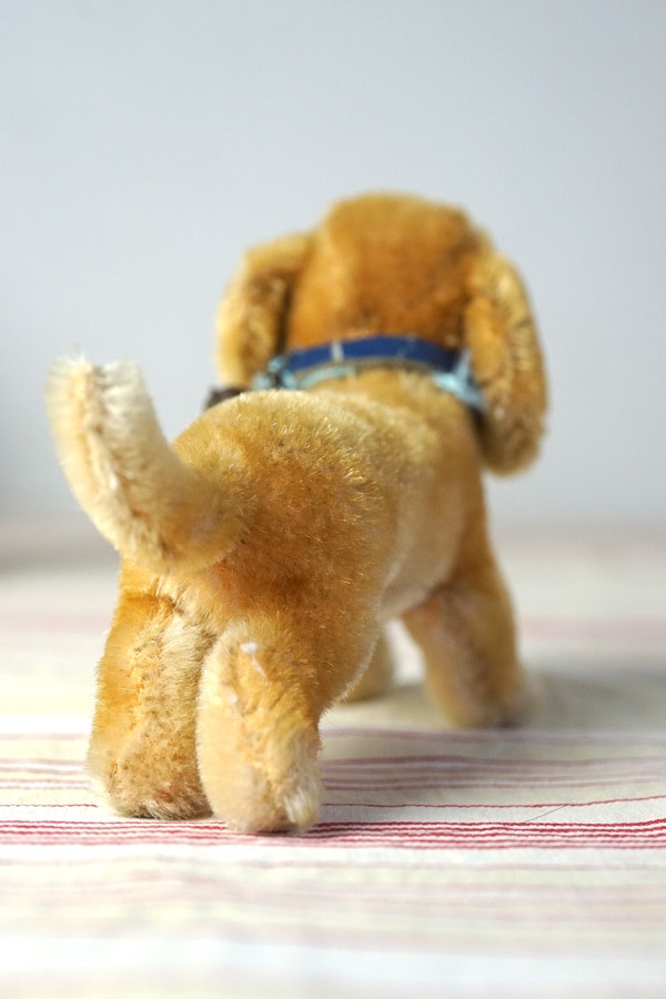 アンティーク シュタイフ ダックスフント Steiff Hexie 10cm