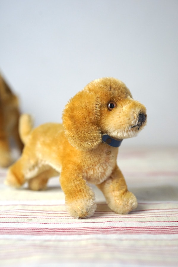 アンティーク シュタイフ ダックスフント Steiff Hexie 10cm