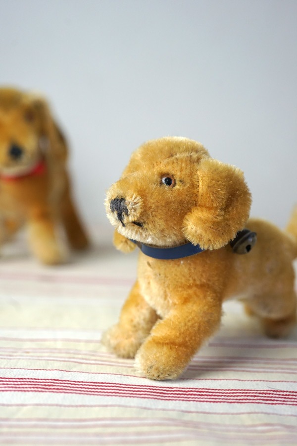Steiff（シュタイフ）　ダックスフンド　035081 Steiff（シュタイフ） ダックスフンド 035081