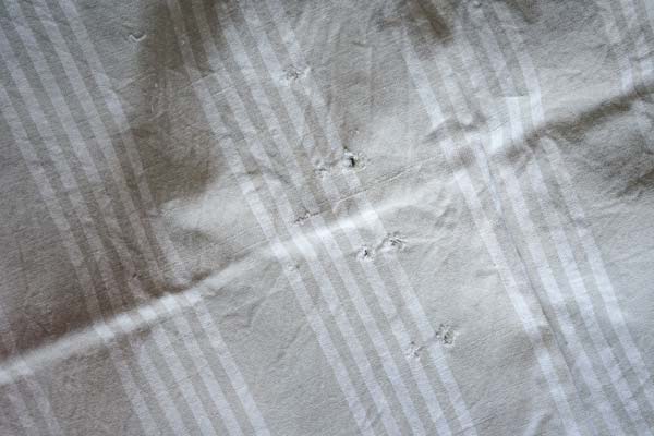 ���ƤΥϥ�ɥᥤ�ɥ�å����ѥå� glb-225