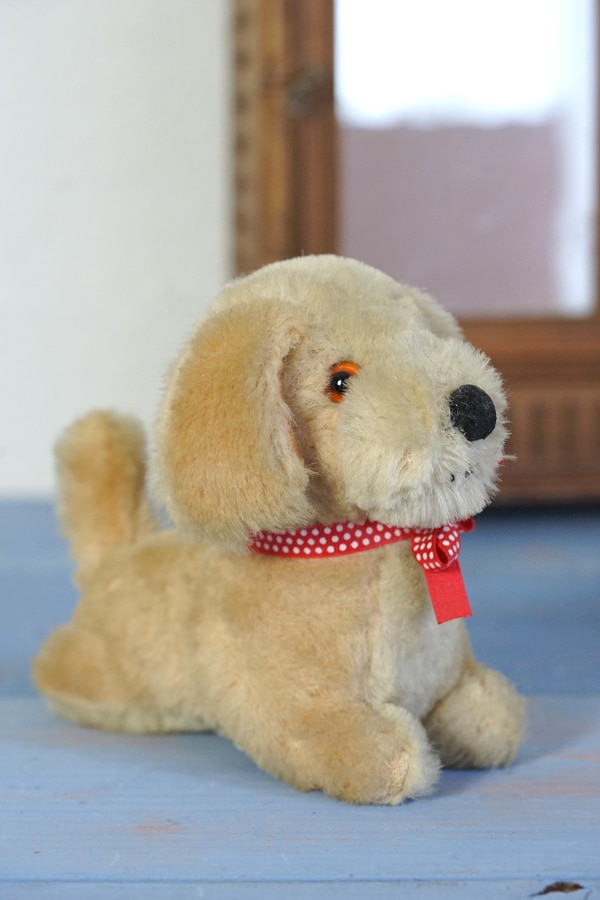 ������ơ����ΰ��η��βİ����ɥå�W20��H14.5cm gt-966