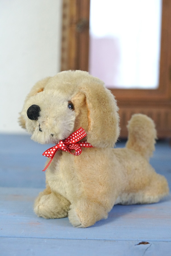 ������ơ����ΰ��η��βİ����ɥå�W20��H14.5cm gt-966