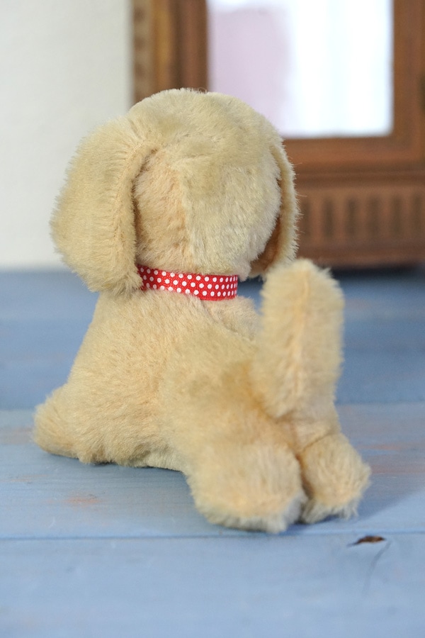 ������ơ����ΰ��η��βİ����ɥå�W20��H14.5cm gt-966