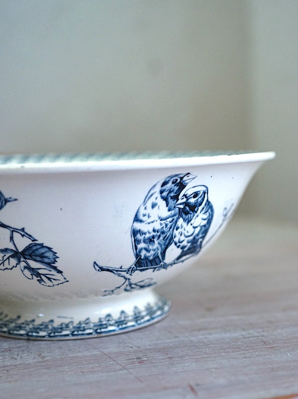 Сȡ֥󥷥VermontBlanchetɽ˭ĻΥܡե󥹥ƥ2811.5cm gc-1629