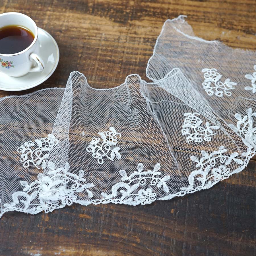 ����ƥ��������塼��Υ��ץꥫ������졼�� 47��13cm gla-1696