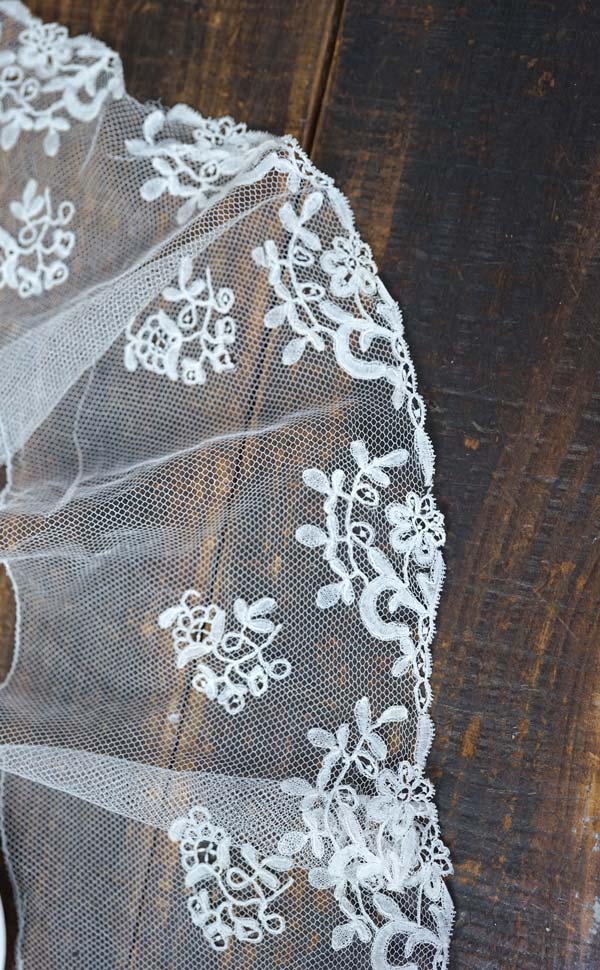 ����ƥ��������塼��Υ��ץꥫ������졼�� 47��13cm gla-1696