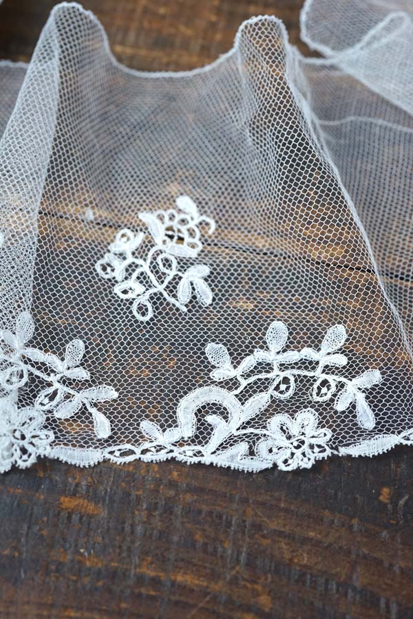 ����ƥ��������塼��Υ��ץꥫ������졼�� 47��13cm gla-1696