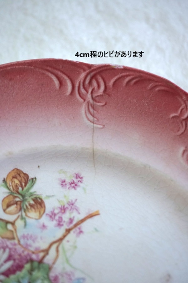 �ե������� �ɥΥ��Faience D'onnaing�νդΥ֡�����������21cm�ץ졼�� gc-1793