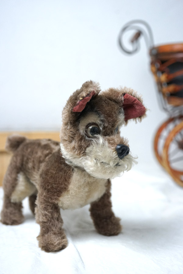 シュナウザー　ビンテージ　ぬいぐるみ　ヨーロッパ 1954-70年代 ドイツ製 Steiff 犬 シュナウザー Schnauzer Tessie