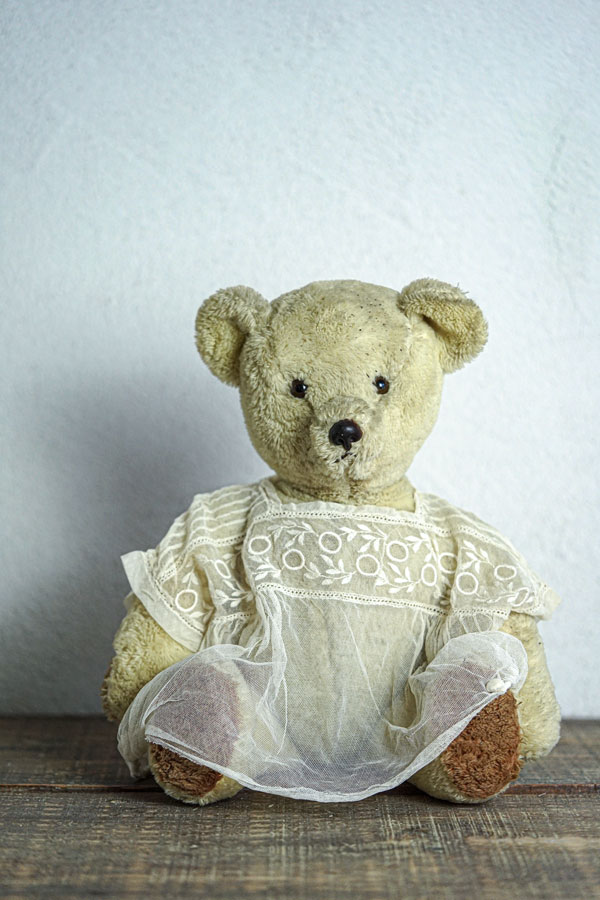 ���塼��˻ɽ��Υ֥饦�����夿�ե�󥹤Υ����ܥ꡼�Υ�����ơ����Υ٥�47cm gt-1063