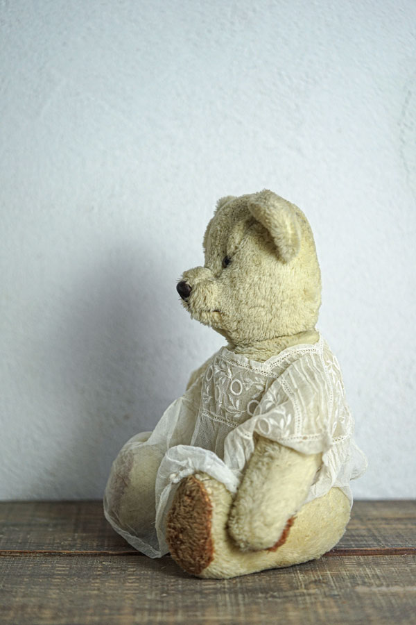 ���塼��˻ɽ��Υ֥饦�����夿�ե�󥹤Υ����ܥ꡼�Υ�����ơ����Υ٥�47cm gt-1063