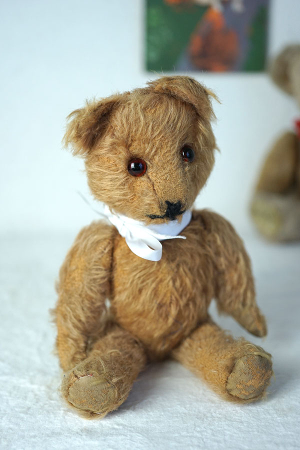 ���㥮����إ��Υ֥饦��Υ٥�29cm1940ǯ�庢��gt-1187