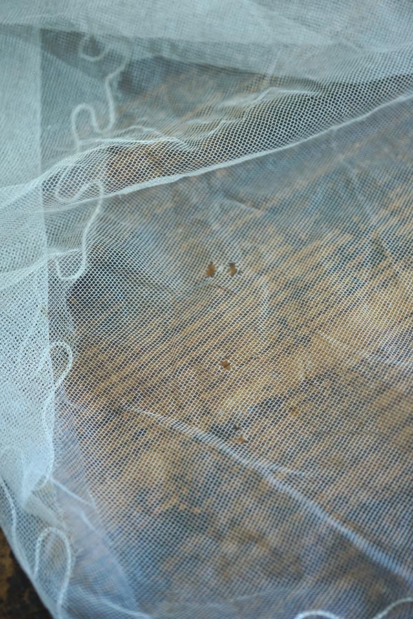 ����ƥ��������塼��˥����ͥ꡼�ɽ��Υ����ǥ��󥰥졼��290��245cm gla-1776