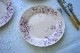 �ӥ�������ܥå�Villeroy��Boch Aves Mettlach��Ļ��ʿ��1915ǯ�� 24.5cm gc-1372
