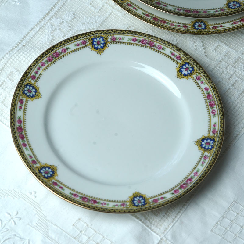 ����ƥ�������⡼����ζ�ݤȤ��֤Υǥ����ȥץ졼��W20cm gc-1801