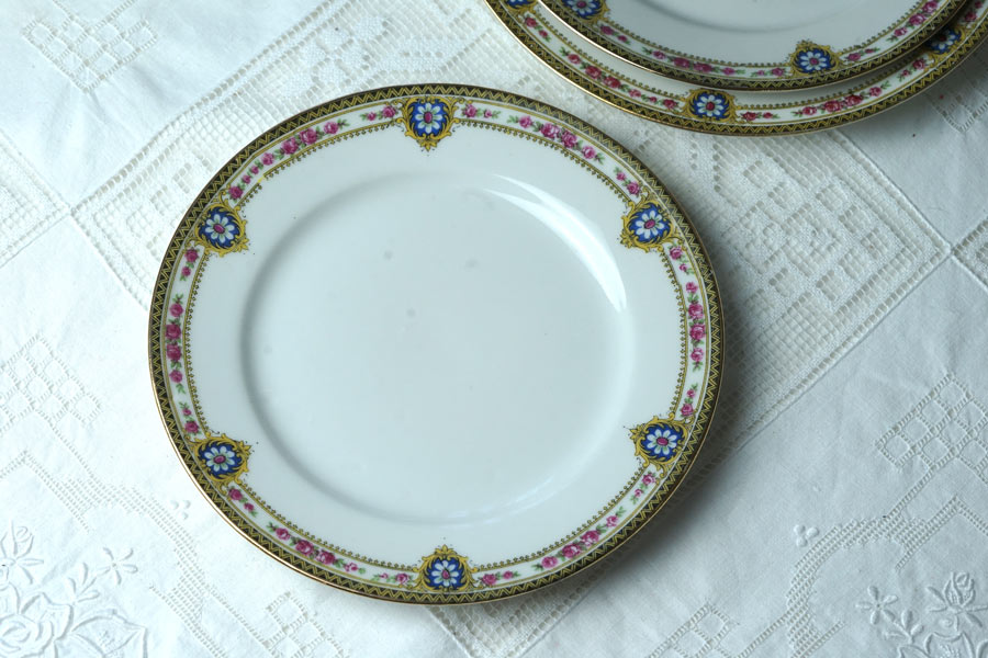 ����ƥ�������⡼����ζ�ݤȤ��֤Υǥ����ȥץ졼��W20cm gc-1801