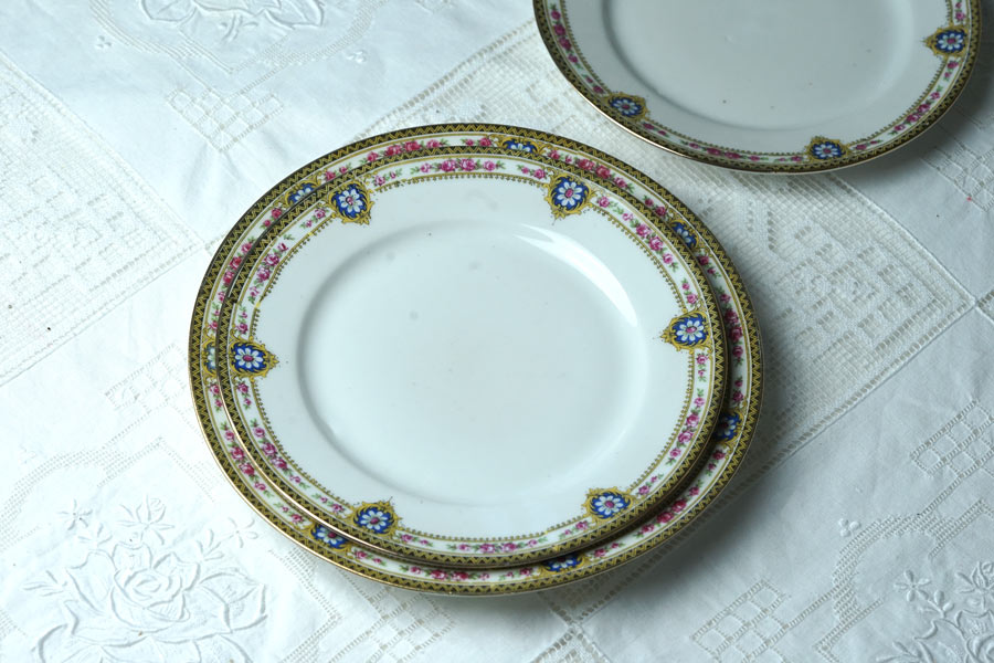 ����ƥ�������⡼����ζ�ݤȤ��֤Υǥ����ȥץ졼��W20cm gc-1801