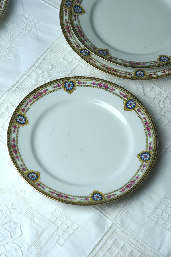 ����ƥ�������⡼����ζ�ݤȤ��֤Υǥ����ȥץ졼��W20cm gc-1801