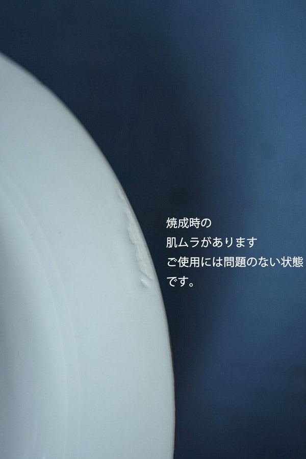 ����ƥ�������⡼����ζ�ݤȤ��֤Υǥ����ȥץ졼��W20cm gc-1801