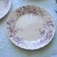 �ӥ�������ܥå�Villeroy��Boch Aves Mettlach��Ļ��ʿ��1915ǯ�� 24.5cm gc-1376