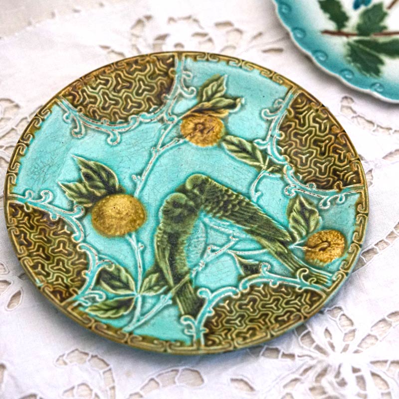 ����ƥ�����SALINS�֤�Ļ�ΥХ�ܥƥ����̻�W20cm gc-1335