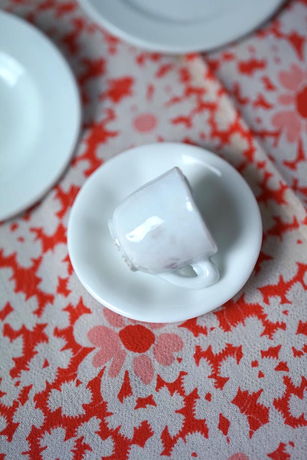 �ե�󥹤Υۥ磻�ȤΥǥ��ͥå�10�����å� gc-1802