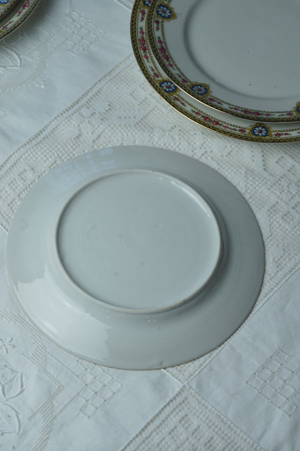 ����ƥ�������⡼����ζ�ݤȤ��֤Υǥ����ȥץ졼��W20cm gc-1959